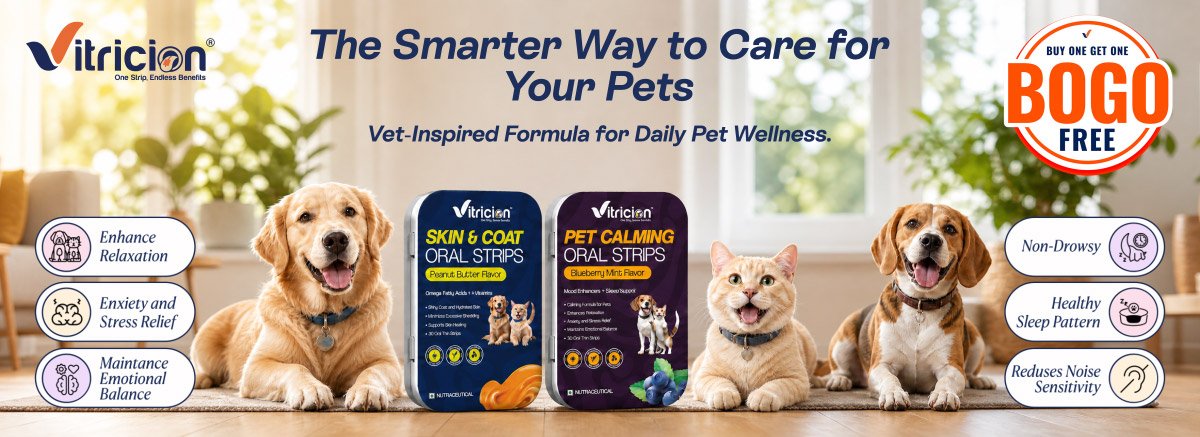 Pet Web 1200 X 437